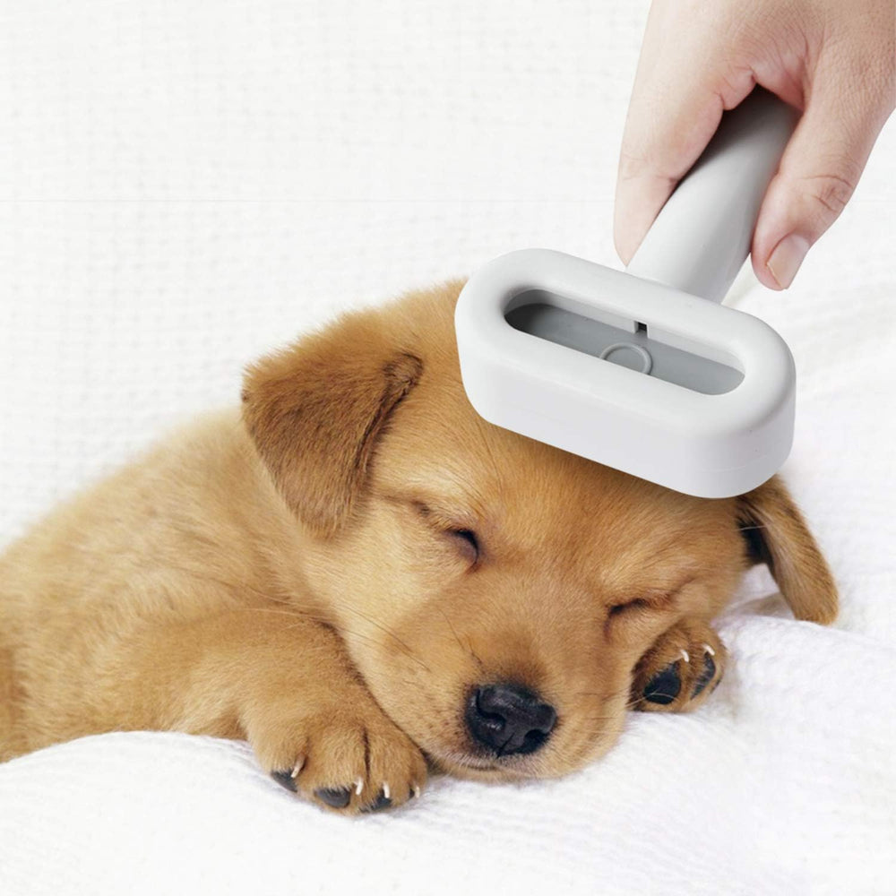 Deshedding Dogs Brush Grooming Tool Safe Retractable Anti-Rusty Stainless Steel Comb Teeth without Hurting Remove Loose Hair and Tangled Hair Dog Brush for Long Coat Dogs